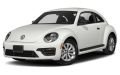 Beetle