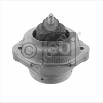 Bmw E53 M57/M57N Motor Kulağı Lastik/Motor Takozu  3.0d SOL/SAĞ
