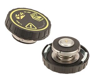 Mini Cooper R50/R52 Radyatör Kapağı